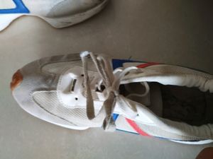 Sport Shoes