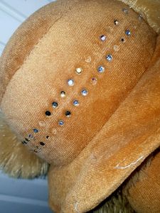Cute Teddy Bear with Hat