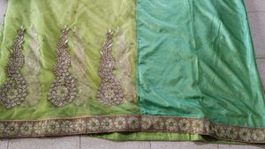 beautiful parrot green and pista sari with blouse