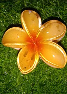 Trending Floral Design Hair Claw