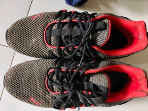 Puma Sport Shoes - Comfortable & Stylish