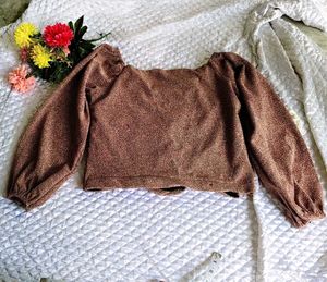 Sparkly Ruched Crop Top