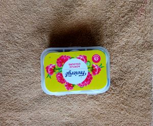 Fevicryl acrylic colours