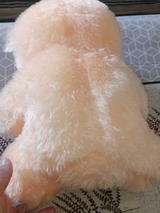 Cute Heart Teddy Bear