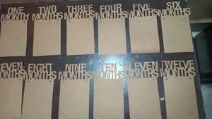 Photo Banner From First Month To 12th Mont