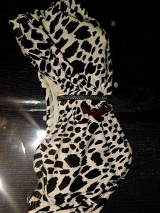 Dalmatian Print Top