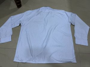 Classic Striped White Men's Button-Down Shirt