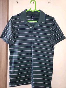 Striped Polo Shirt