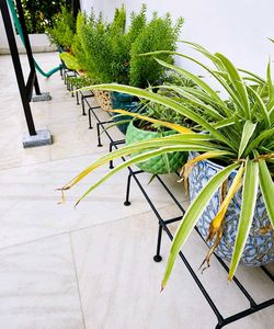 ✨🤌 Luxury 8 pack Metal Plant Stands
