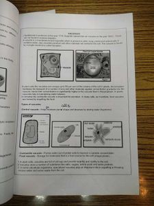 Class 11 Biology Notes – Cell: The Unit of Life