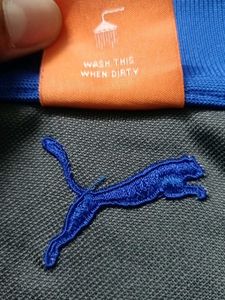 Men's Blue &amp; Gray Polo Shirt