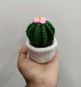 Handmade Crochet Cactus Decor