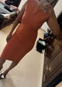 Zara Bodycon Dress