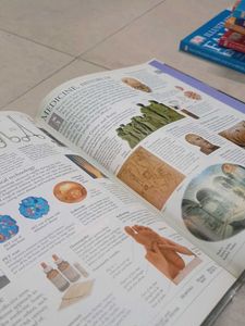 DK Illustrated Family Encyclopedia Vol 9