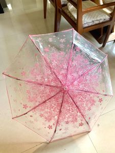 Cute mint Sakura Print Umbrella