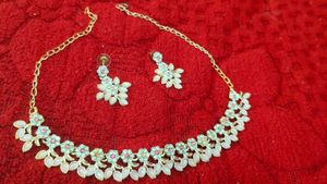 Exquisite Floral Earrings with choker