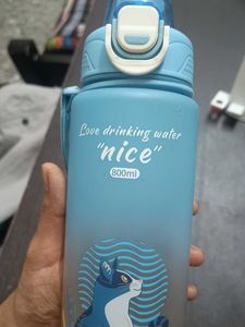 Cute Cat Water Bottle