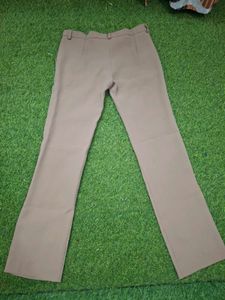 Classic Beige Flare Pants