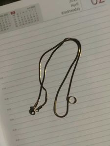 Elegant Snake Chain Necklace