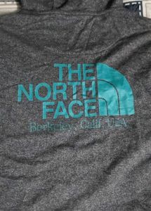 the north face hoodi