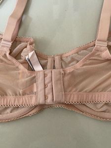 Sheer Lace Trim Balconette Bra