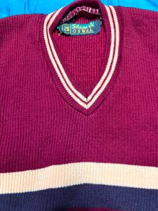 Men's Striped V-Neck Sweater