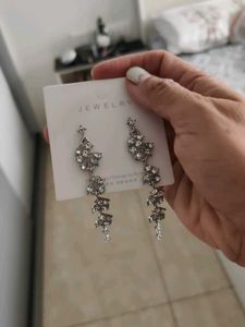 Sparkling Dangle Earrings