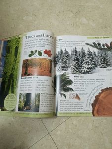 DK Encyclopedia for Young Readers