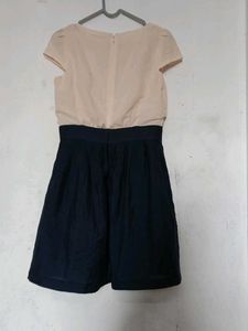 Chic Two-Tone Dress