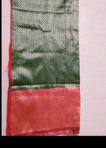 New Green Saree