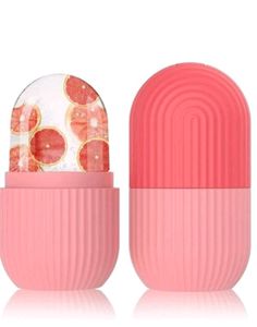 Resuable Ice Roller Case Mould