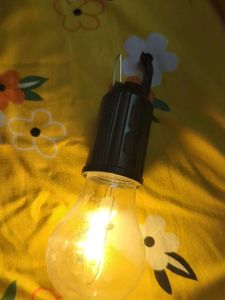 Incandescent Light Bulb
