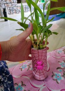 Hand-Painted Spiderweb Planter Pot without plant