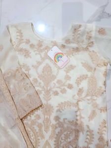 Elegant Embroidered Kurta Set 3pc xl