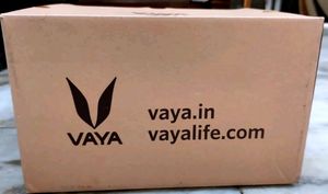 VAYA  Copper Finished Stainless Steel Lunch Box