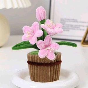 Cute Potted Pink Flowers