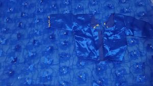 Stunning Royal Blue Butterfly Saree