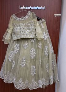 pastel green lehnga choli
