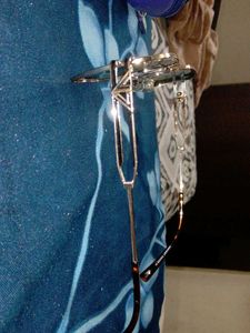 Stylish Sunglasses in Protective Case