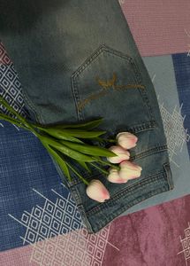 Roadster Denim Jeans
