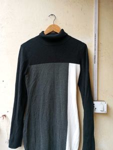 Bodycon ColorBlock Turtleneck Dress (Women)
