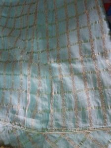 Light Blue Ethnic Skirt with Gold Pattern
