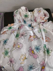 Floral Print Sheer Dress