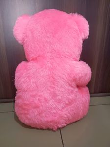 Pink 🩷 Super Soft Teddy