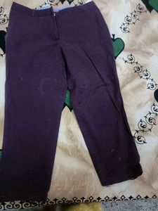 Cantabil Brand Wine Capri In 32 Waist