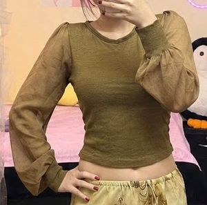 Chic Sheer Sleeve Top