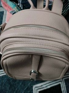Chic Blush Backpack