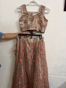 Designer Lehenga Choli Set