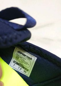 Blue Water Shoes