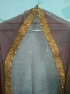 Elegant Dupatta with Gold Border